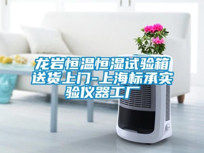 龍巖恒溫恒濕試驗(yàn)箱送貨上門-上海標(biāo)承實(shí)驗(yàn)儀器工廠